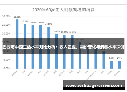 巴西与中国生活水平对比分析：收入差距、物价变化与消费水平探讨